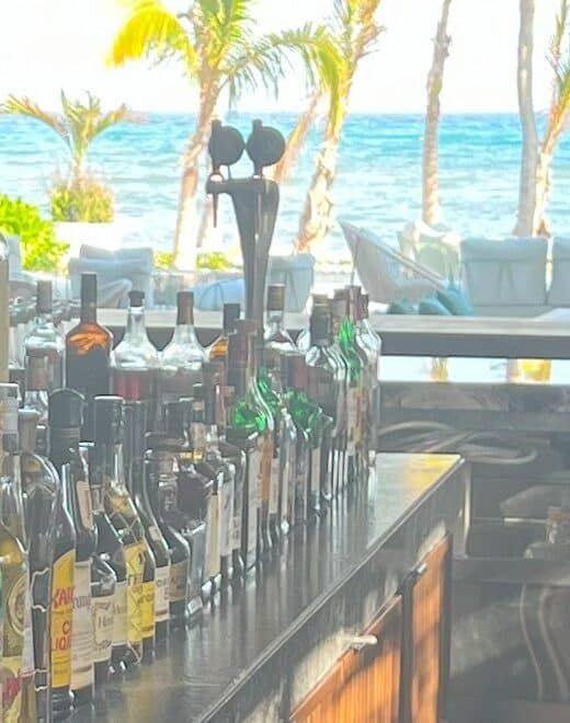 bar with drinks and bottles at all inclusive resort with palm trees in the background