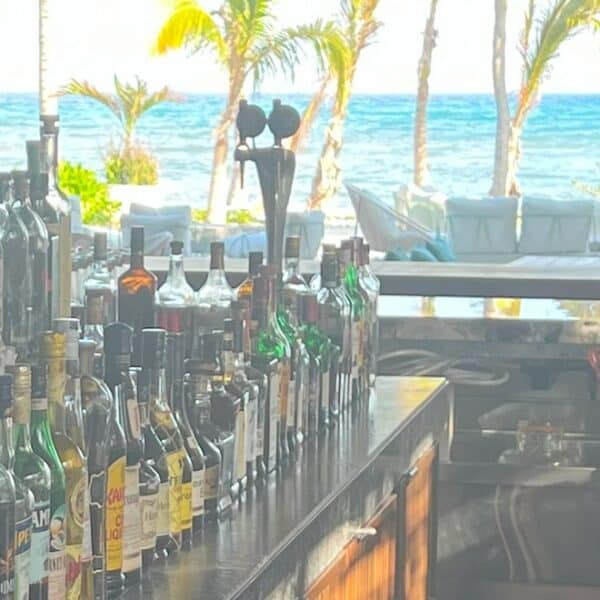 bar with drinks and bottles at all inclusive resort with palm trees in the background