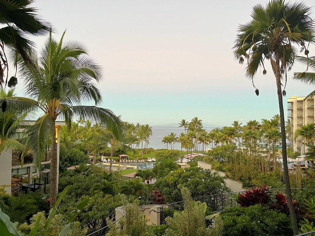 view of Andaz Maui grounds including palm trees and pools with ocean in the background