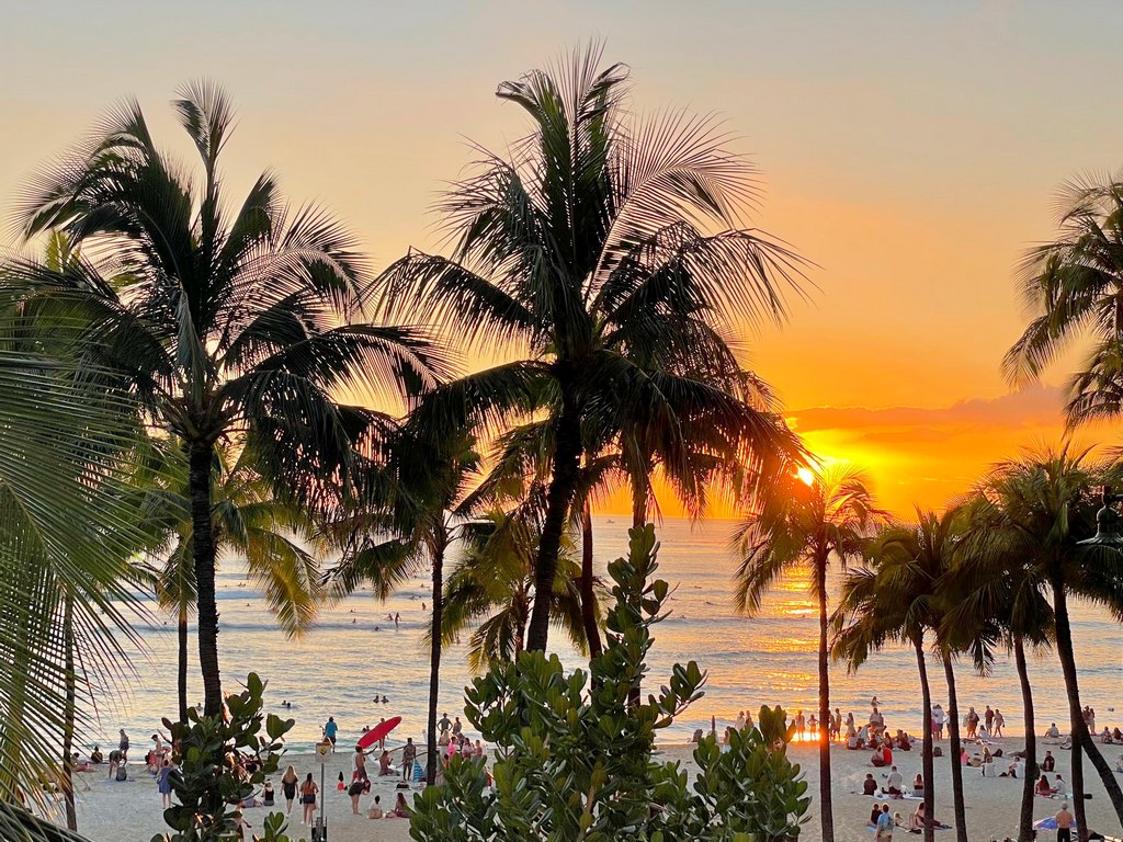 Sunset on waikiki beach with palm trees